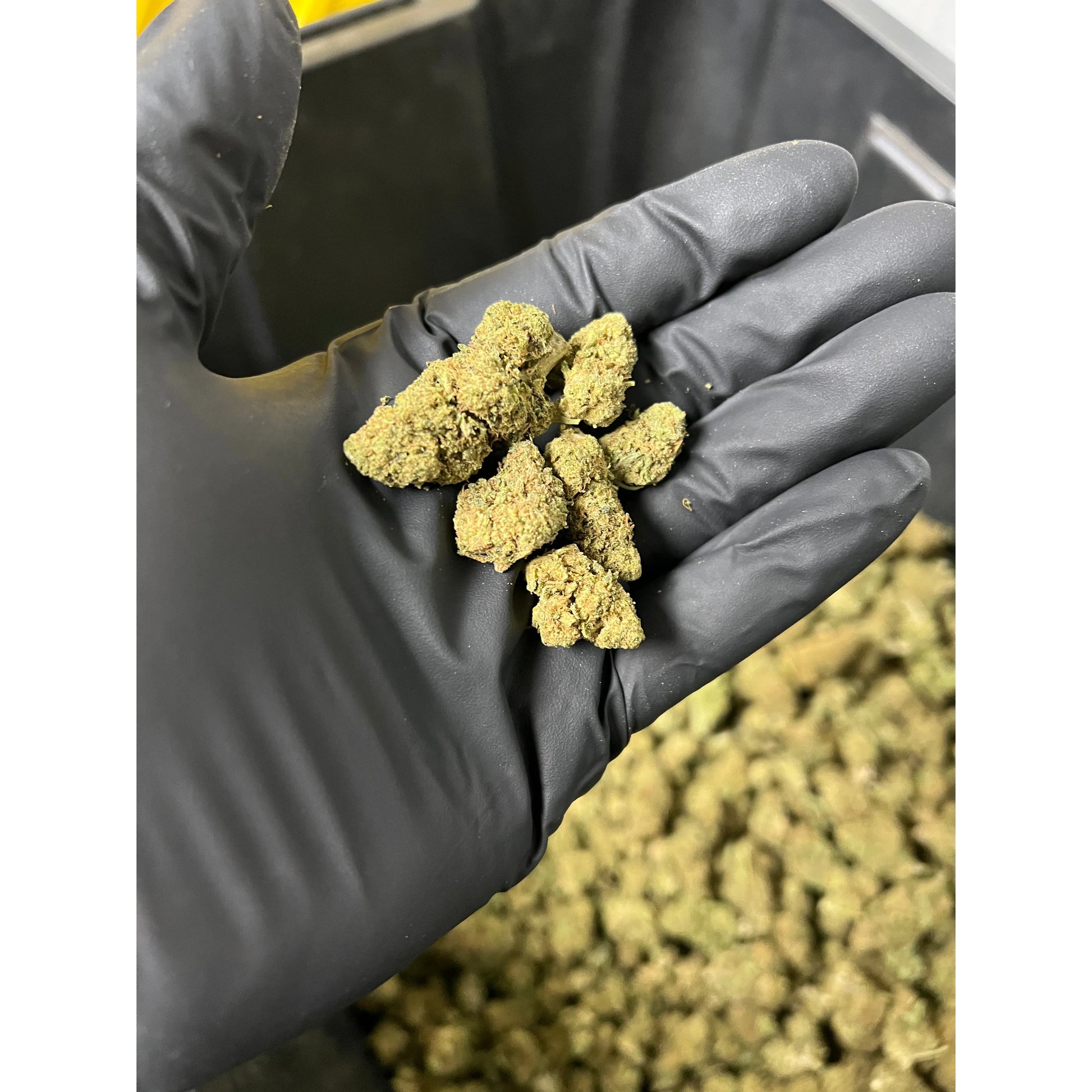 Strawberry Cough Smalls