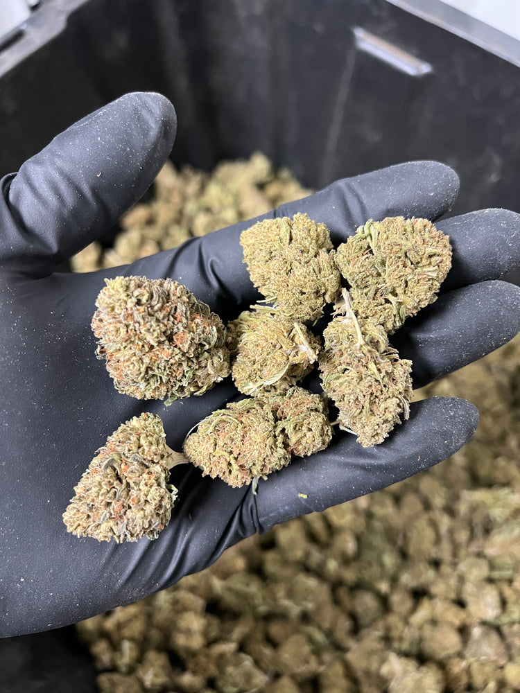 
                  
                    Load image into Gallery viewer, The Wife Hemp Flower
                  
                