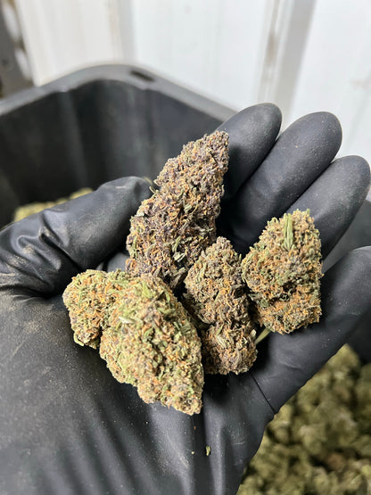 Purple Punch CBD Hemp Flower