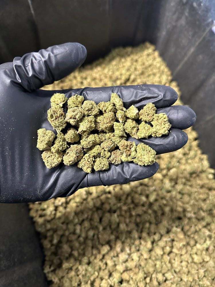 Strawberry Cough Hemp Flower Smalls