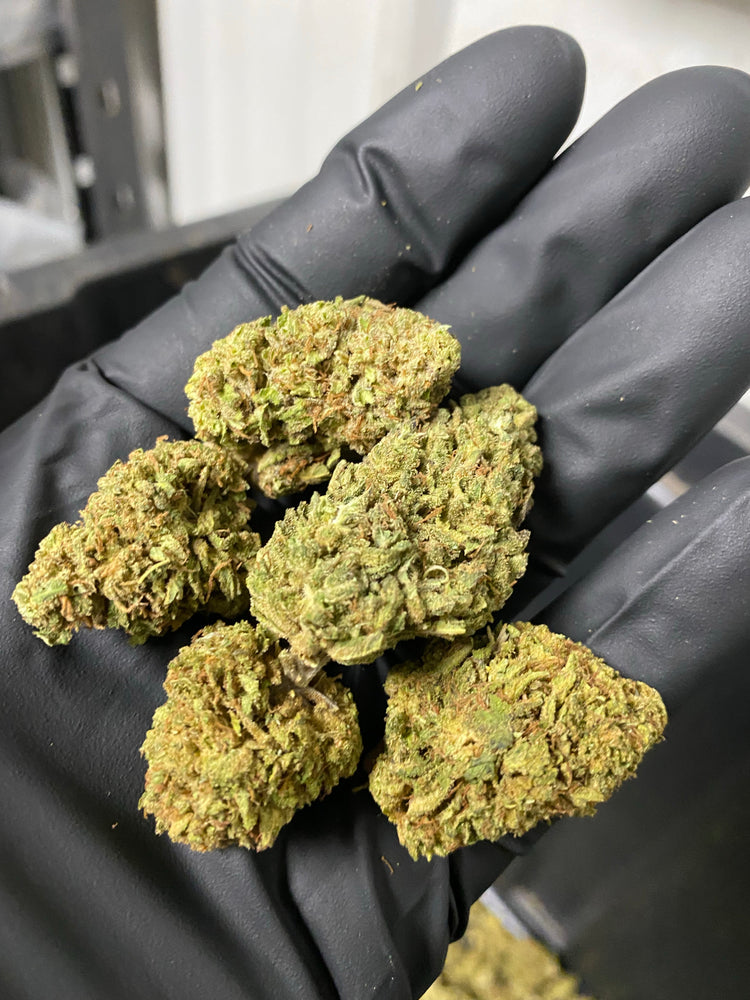 
                  
                    Load image into Gallery viewer, Lifter CBD Hemp Flower
                  
                